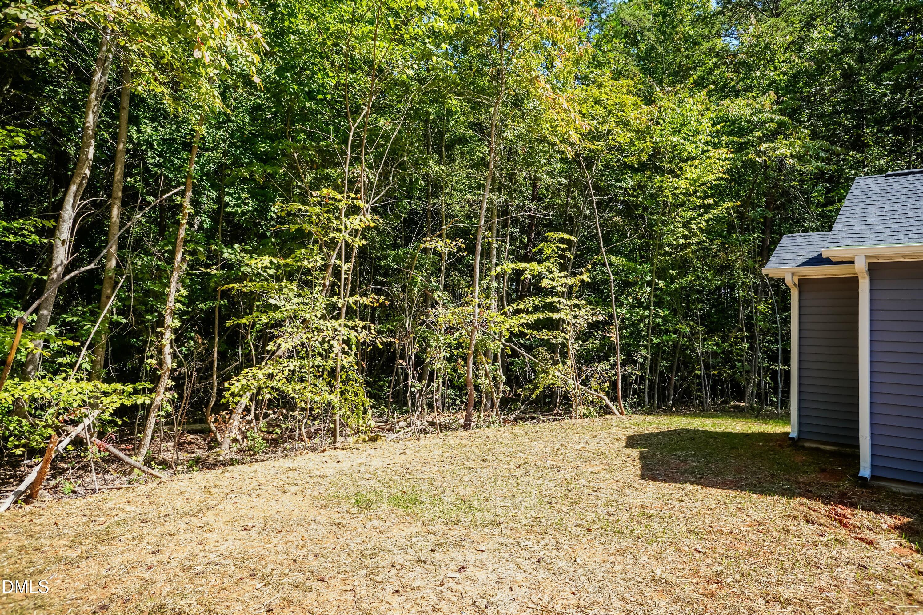 115 Gates Street Roxboro, NC 27573 - Photo 24 of 32 Back Yard 02
