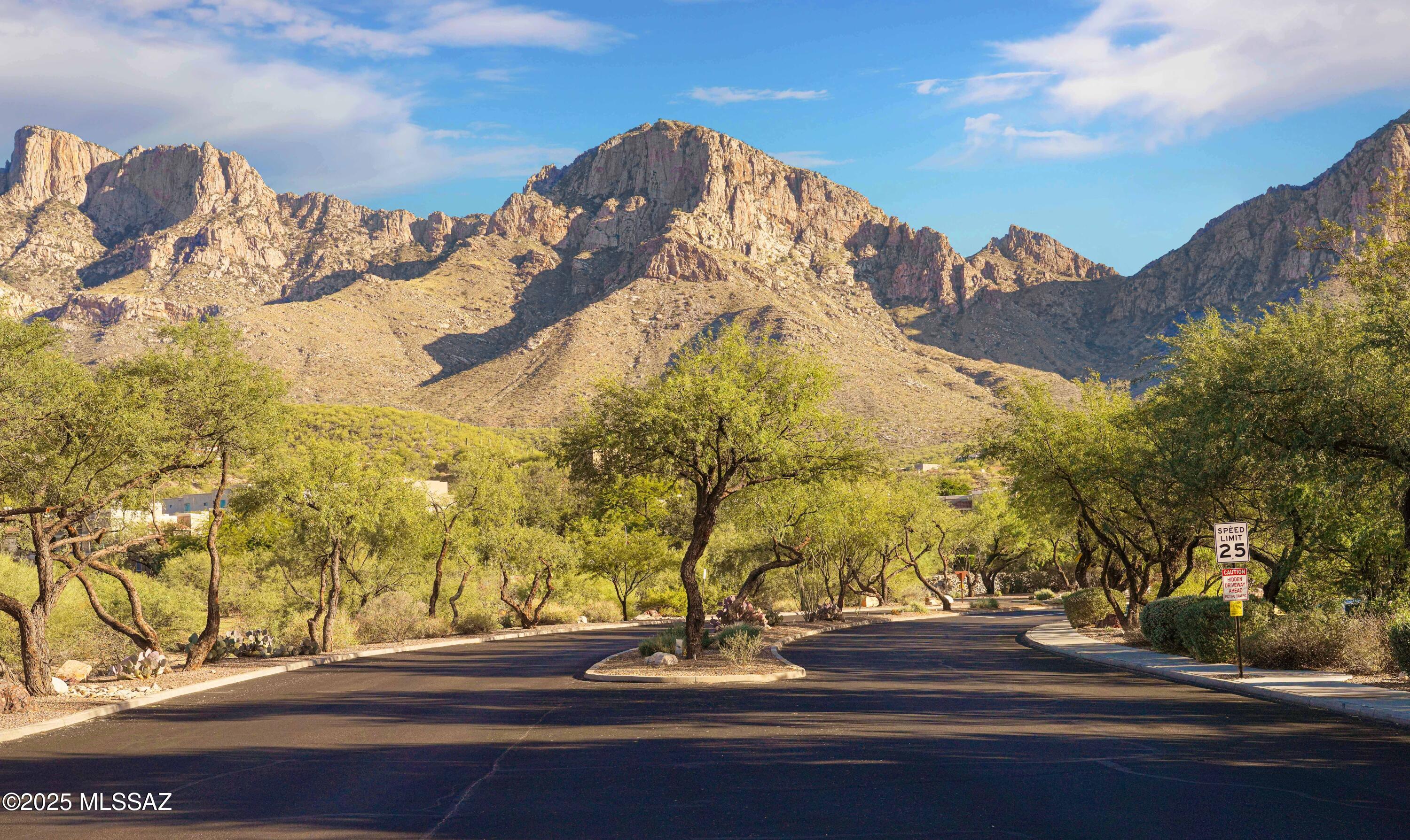 10576 Buck Ridge Drive, Unit 51 Tucson, AZ 85737 - Photo 17 of 20