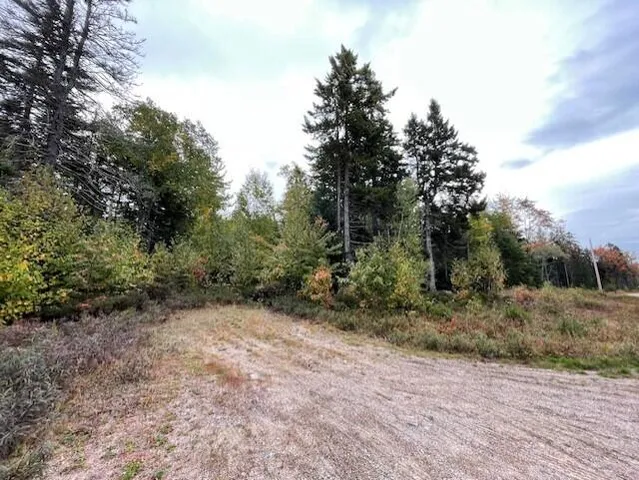 $49,500 | Lot #17-34 Lot#17-34 Dolly Head Estates Road, Steuben, ME 04680