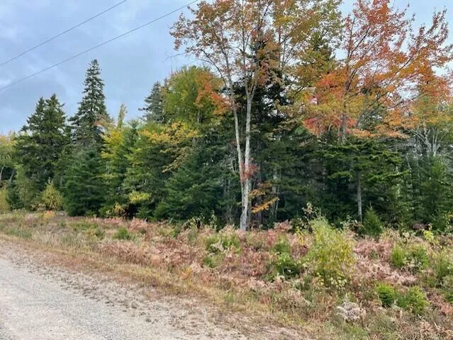 $49,500 | Lot #17-34 Lot#17-34 Dolly Head Estates Road, Steuben, ME 04680