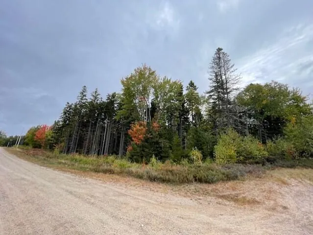 $49,500 | Lot #17-34 Lot#17-34 Dolly Head Estates Road, Steuben, ME 04680