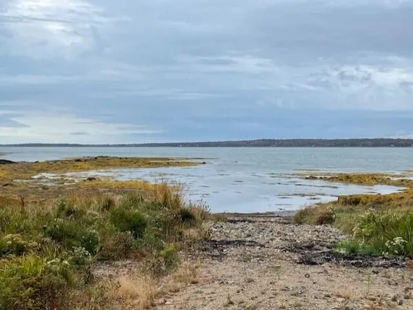 $49,500 | Lot #17-34 Lot#17-34 Dolly Head Estates Road, Steuben, ME 04680