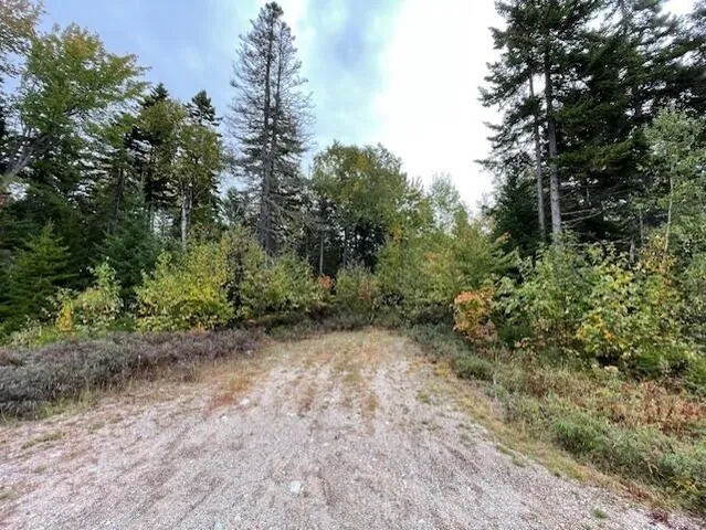 $49,500 | Lot #17-34 Lot#17-34 Dolly Head Estates Road, Steuben, ME 04680