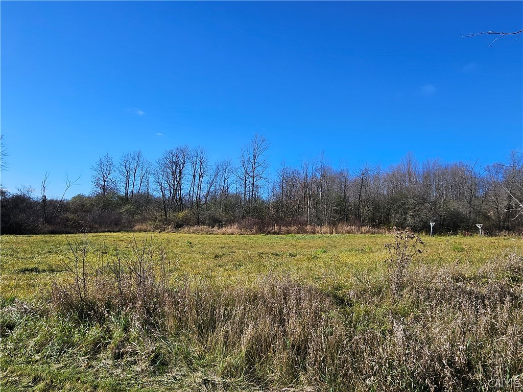 0 Nys Route Clayton, NY 13624 - Photo 7 of 13