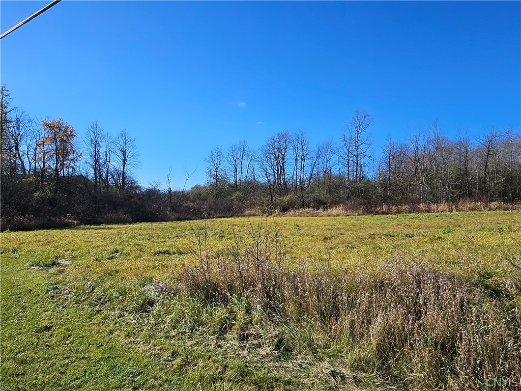 0 Nys Route Clayton, NY 13624 - Photo 8 of 13