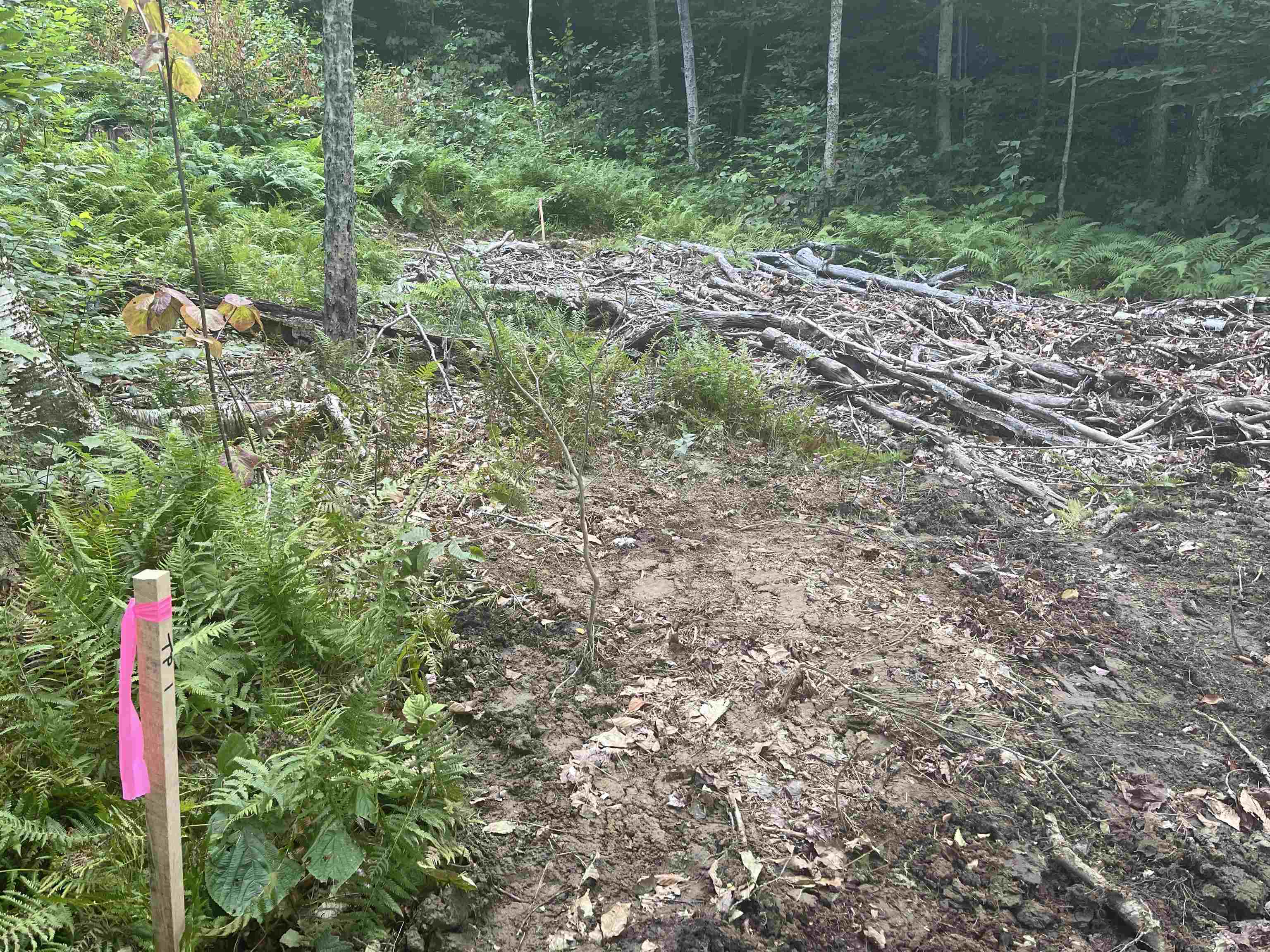 0 Whitaker Farm Road Brattleboro, VT 05301 - Photo 3 of 12