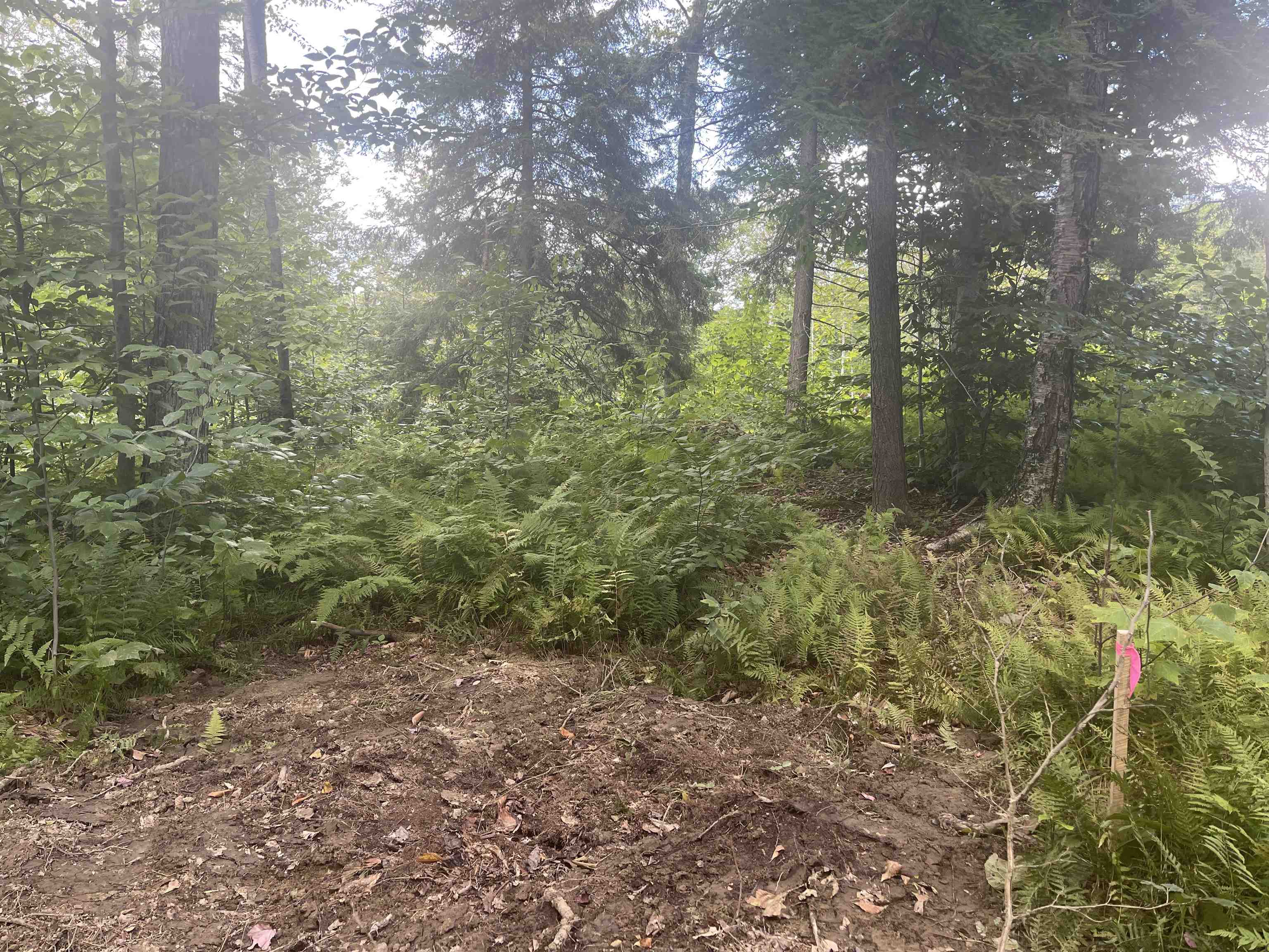 0 Whitaker Farm Road Brattleboro, VT 05301 - Photo 4 of 12