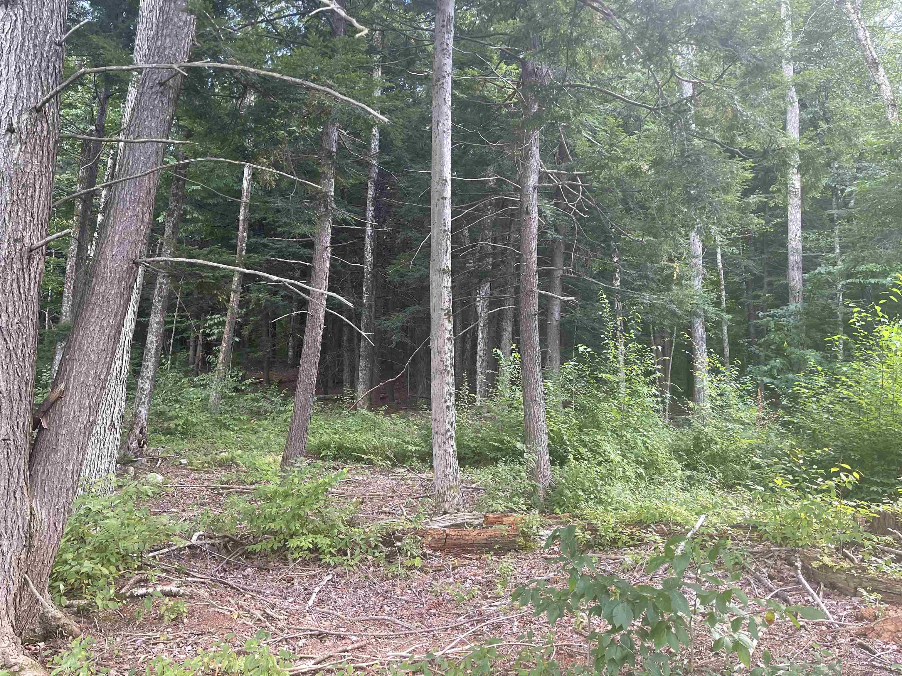 0 Whitaker Farm Road Brattleboro, VT 05301 - Photo 8 of 12