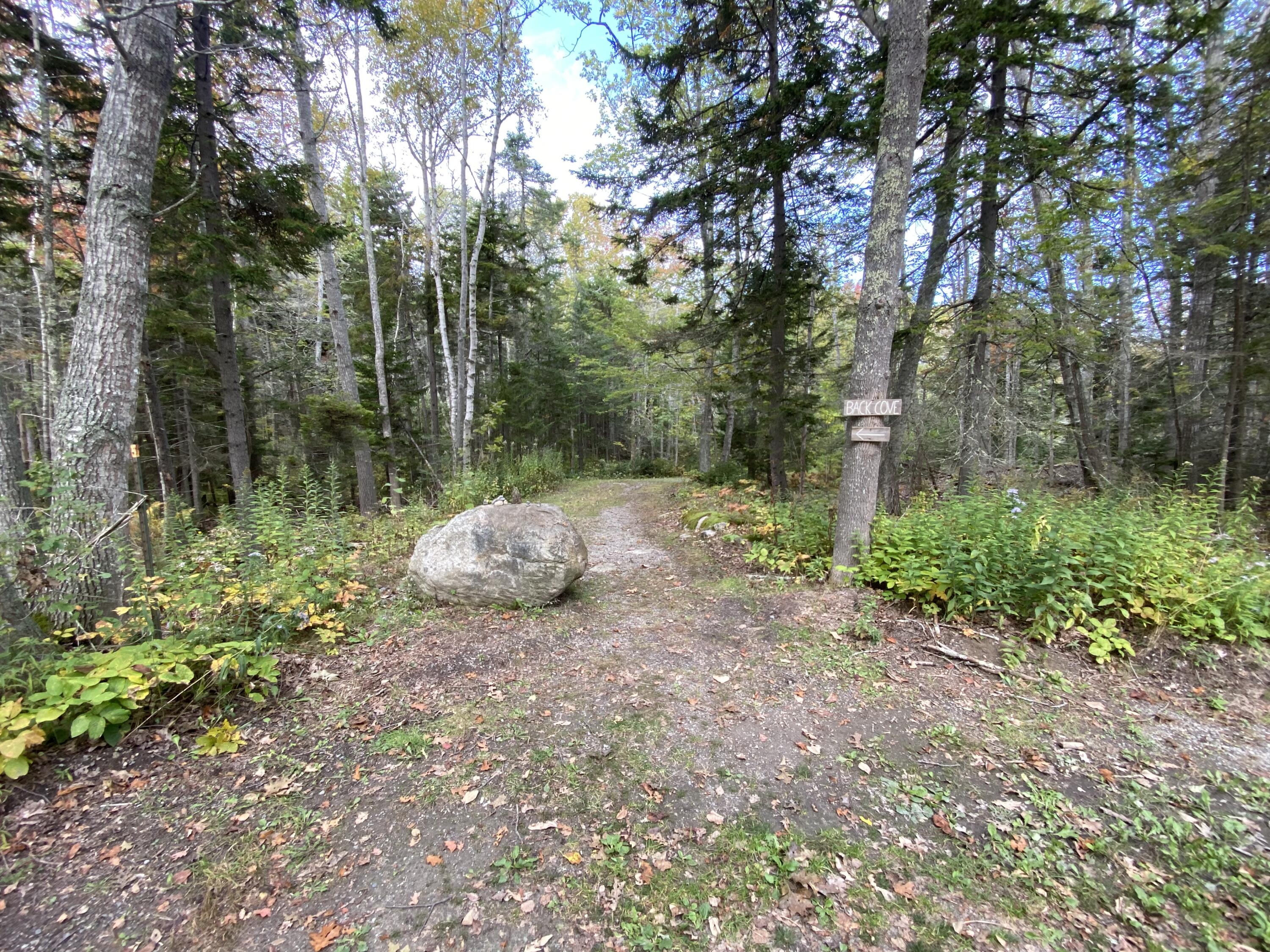 5 Rodgers Road Bristol, ME 04554 - Photo 31 of 36 IMG_3062
