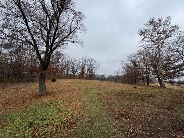 a view of outdoor space with trees