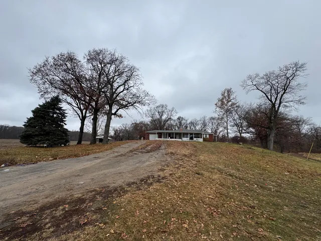 a view of large trees with yard