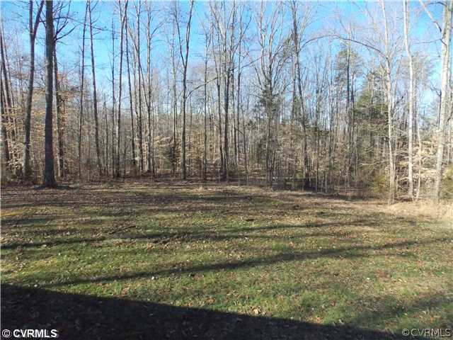 1652 Haskin Road Goochland, VA 23063 - Photo 11 of 12 Yard/Garden - Back Yard