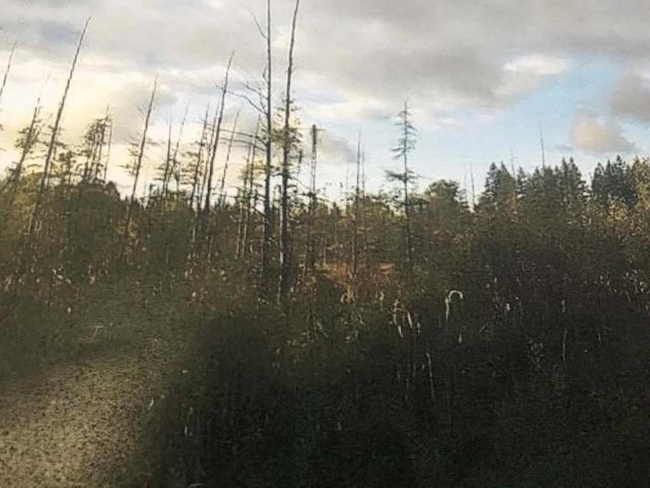 Near Near Sand Rock Road Hurley, WI 54534 - Photo 1 of 1 Gallery Image 1