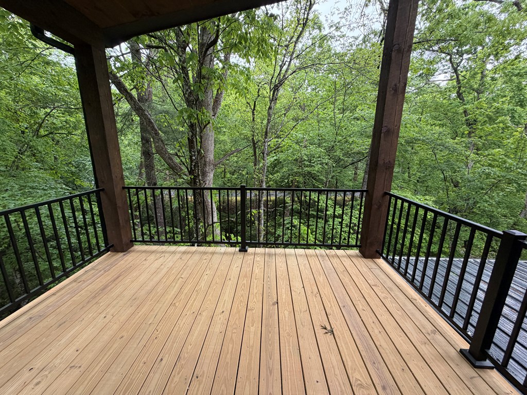 538 Hiawatha Trail Blue Ridge, GA 30513 - Photo 30 of 60