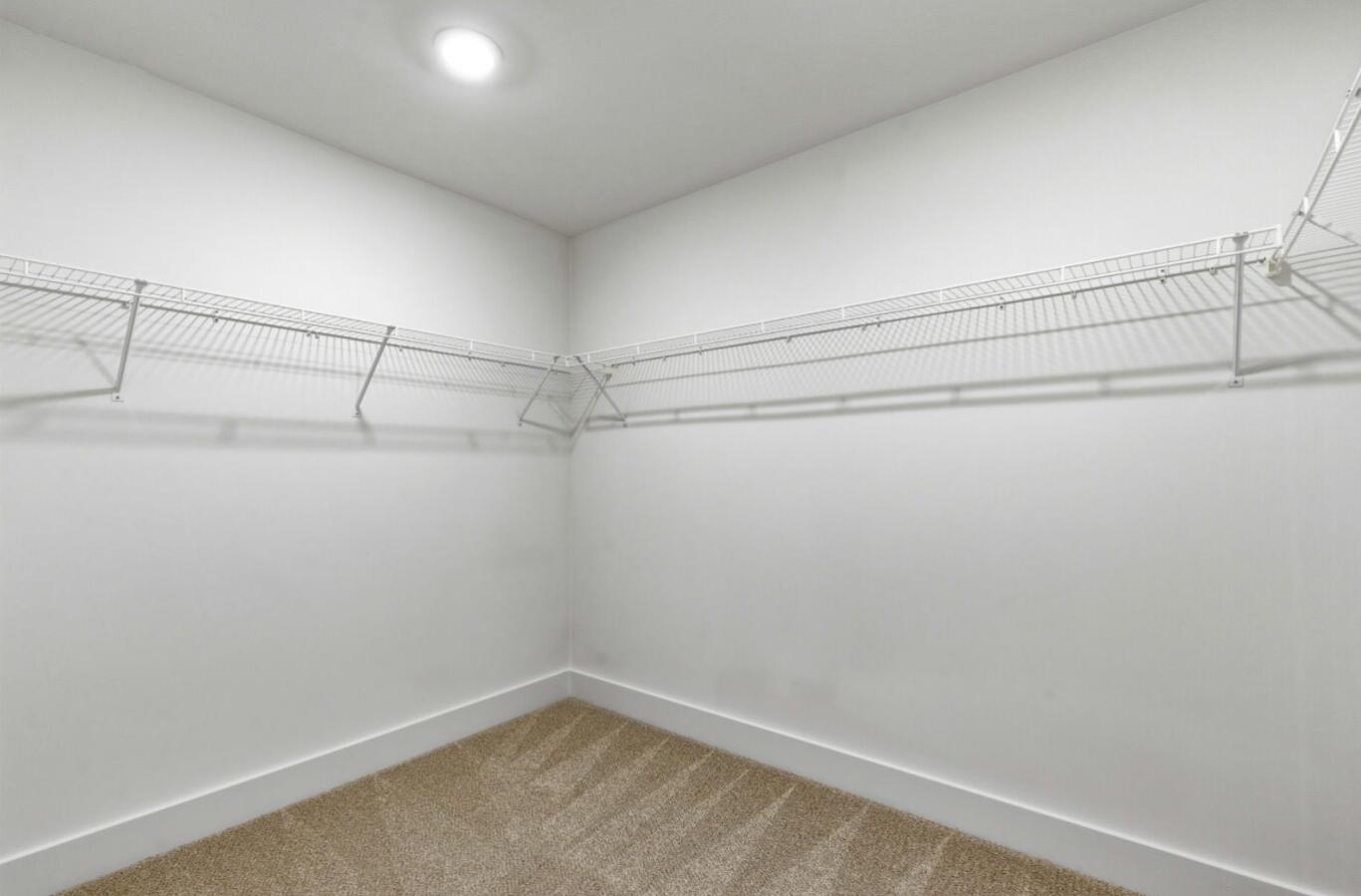 447 White Magnolia Street Moncks Corner, SC 29461 - Photo 28 of 28 PRIMARY CLOSET