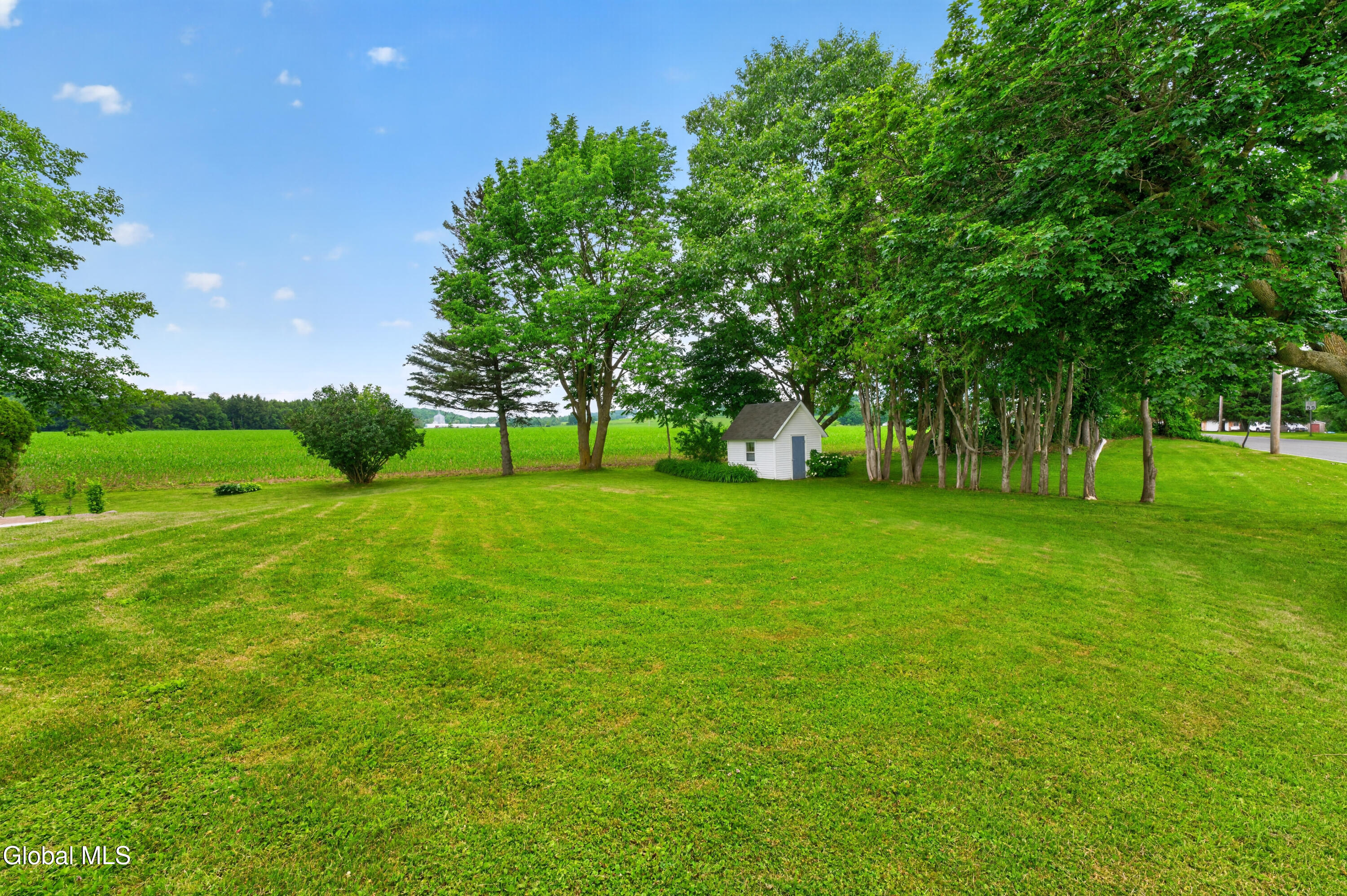 161 County Highway Springfield Center, NY 13468 - Photo 17 of 70 Yard 10