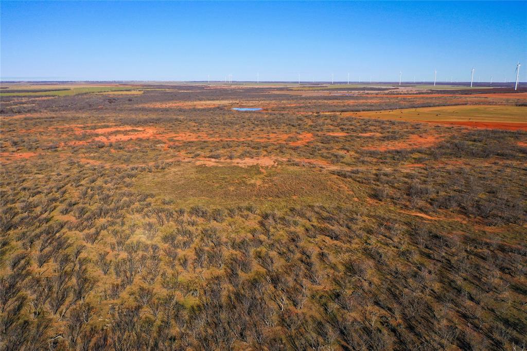 Tbd Rose Road Haskell, TX 79521 - Photo 5 of 7