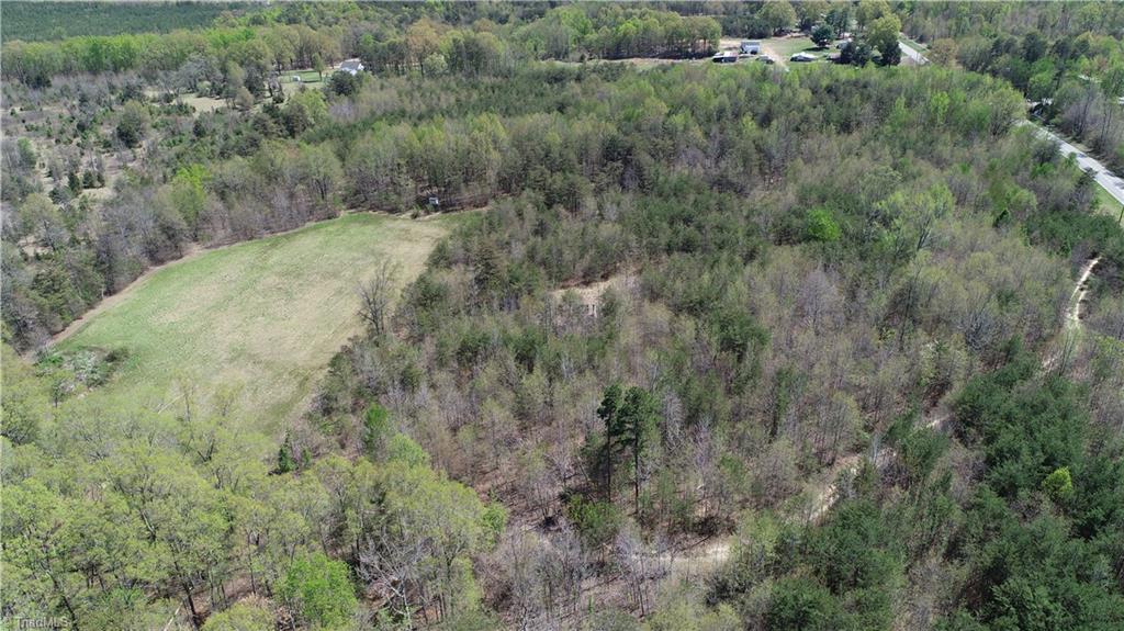 0 Friendly Road Eden, NC 27288 - Photo 5 of 21 Gallery Image 5