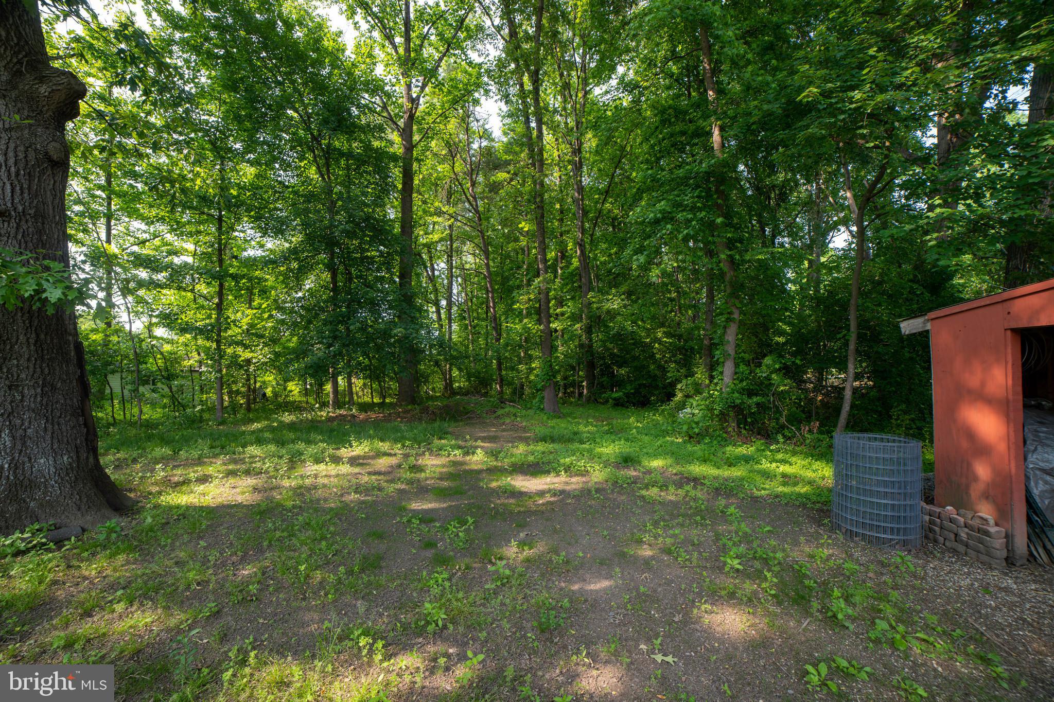 13175 State Road King George, VA 22485 - Photo 37 of 37 ENJOY 2 ACRES!!