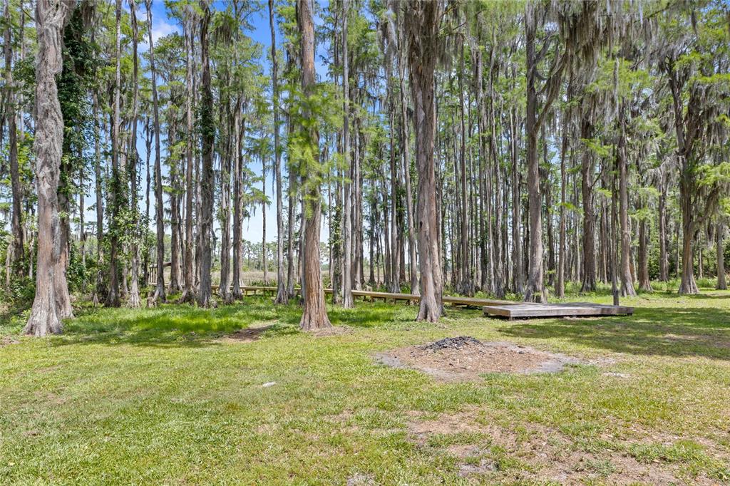 7907 Florida Boys Ranch Road Groveland, FL 34736 - Photo 51 of 80 Gallery Image 51