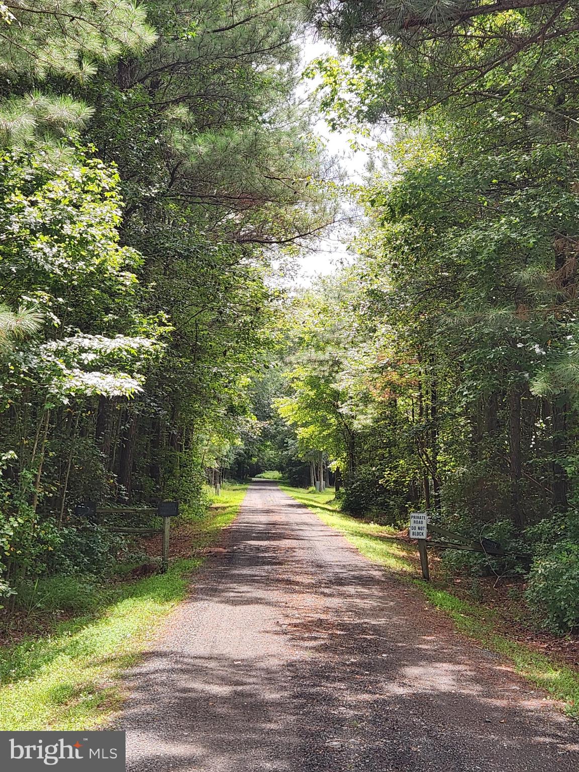 a view of a yard with an trees