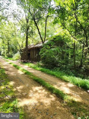 a view of yard with green space and trees around