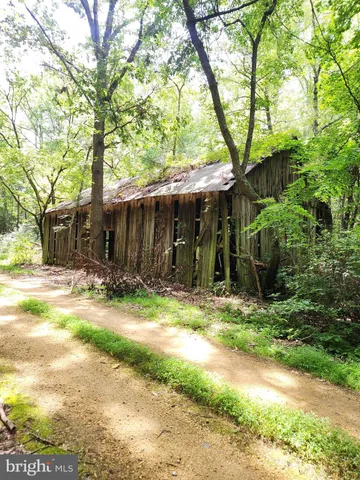 a view of a trees in front of a house