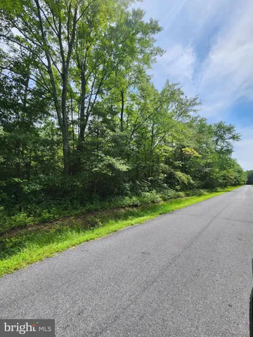 a view of a yard with a street