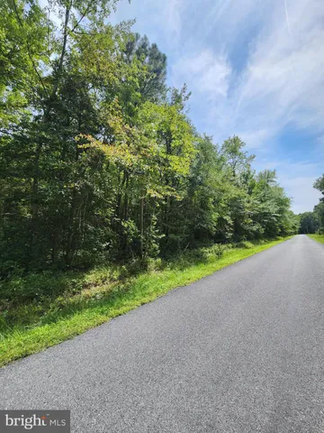 a view of a field and trees