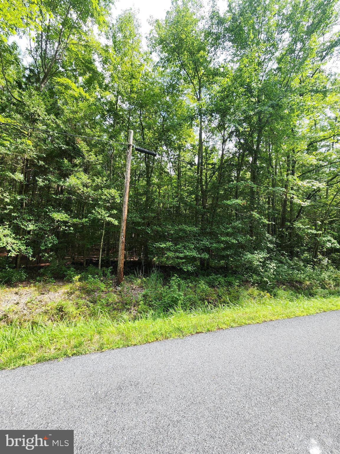 38335 Collins Road Avenue, MD 20609 - Photo 22 of 23 Gallery Image 22