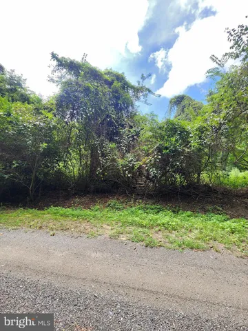 a view of backyard with green space