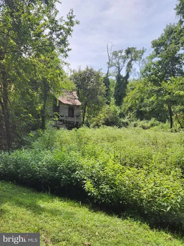 a view of a garden with an outdoor space