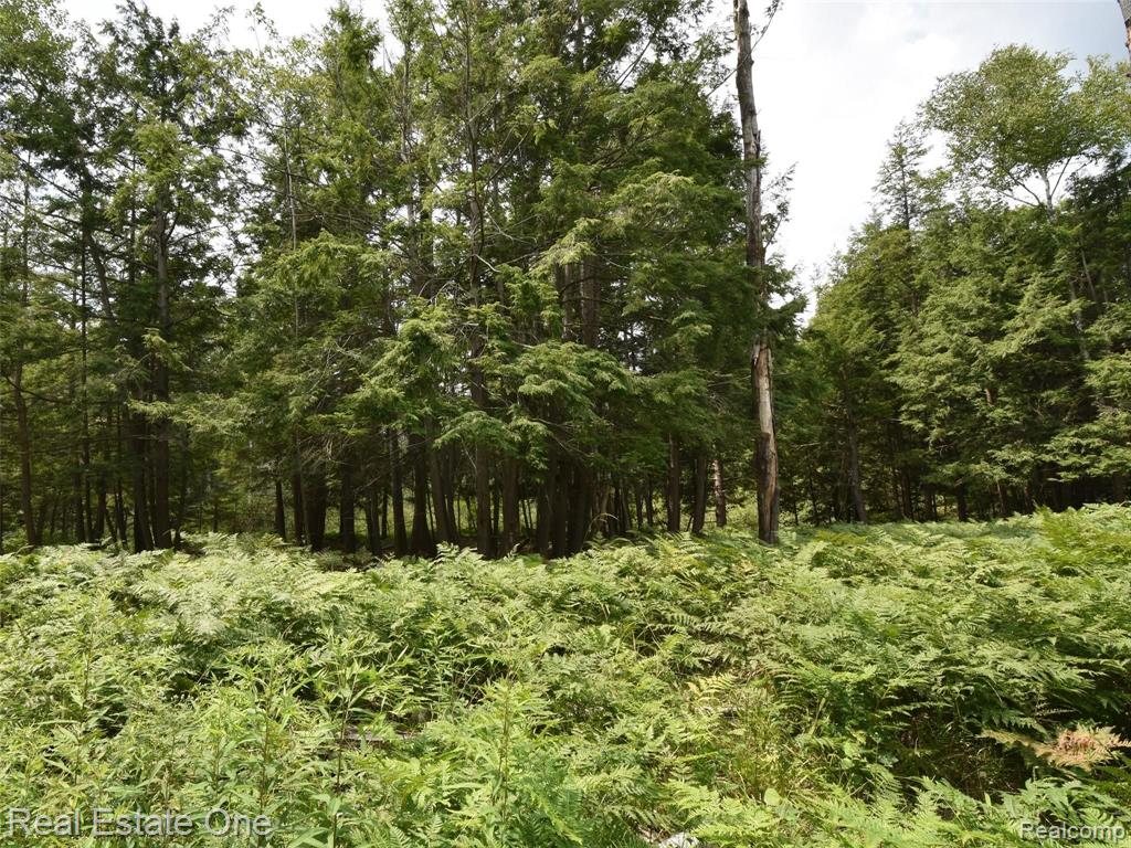 0 South Morrison Road West Branch, MI 48661 - Photo 10 of 38