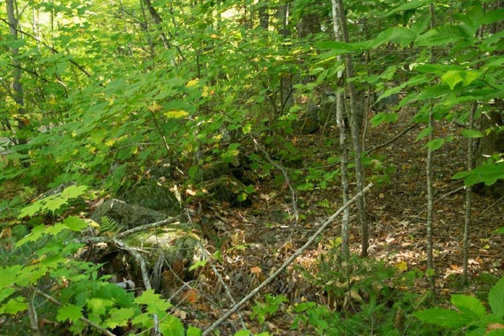 69 Harlin Road Garland, ME 04939 - Photo 12 of 14 land