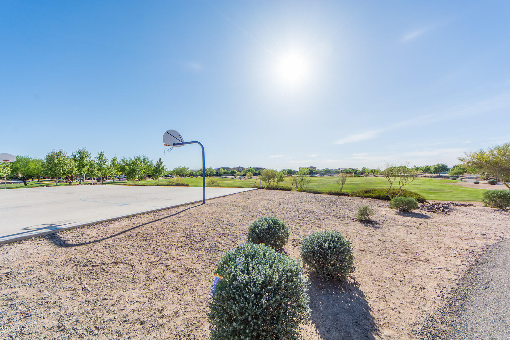 7789 East Treetop Road Tucson, AZ 85756 - Photo 26 of 28 Gallery Image 26