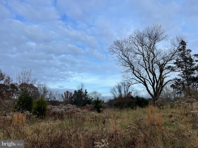 a view of a dry yard with trees