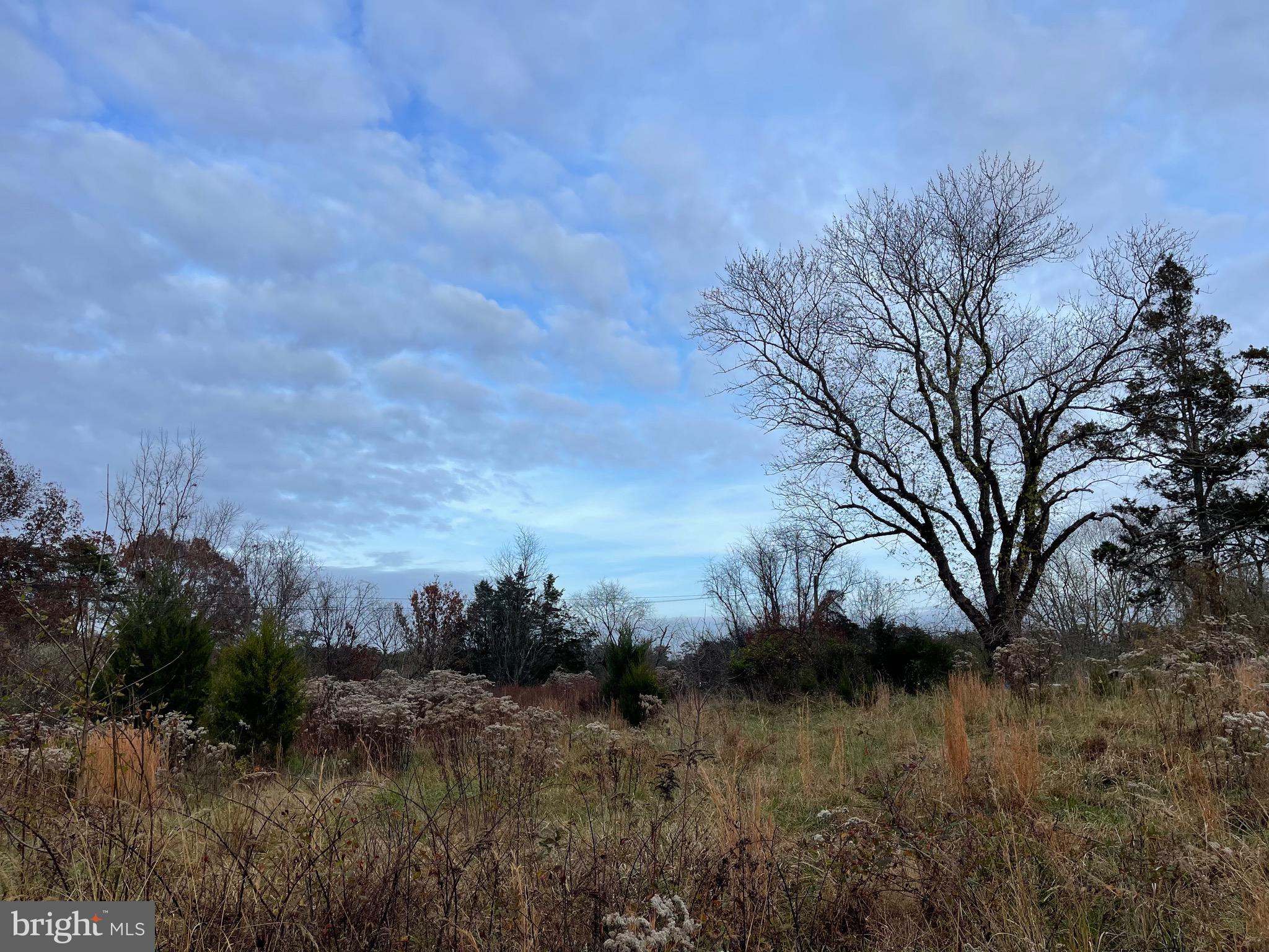 2 Compton Road Centreville, VA 20121 - Photo 6 of 7 a view of a dry yard with trees
