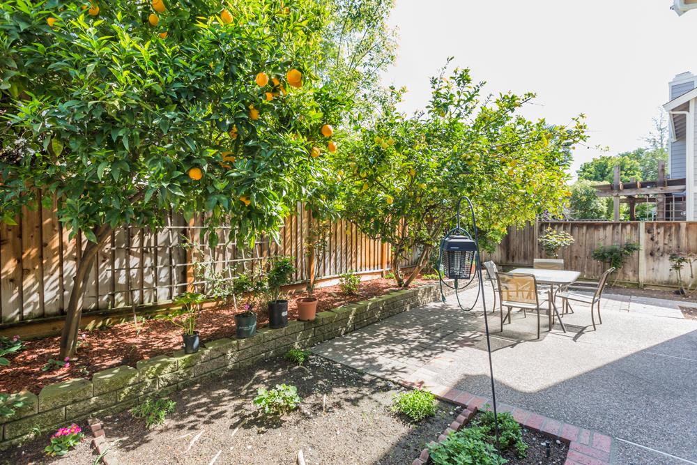 508 Oroville Road Milpitas, CA 95035 - Photo 19 of 29 Gallery Image 19