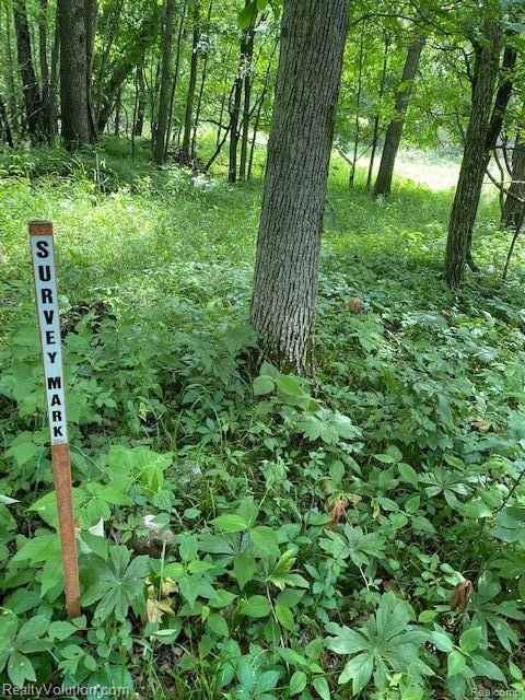 70-acres Hoyt Road Ionia, MI 48846 - Photo 3 of 9 Gallery Image 3