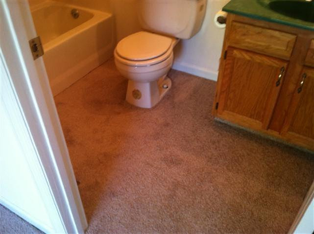 56 Deer Lick Road Ewing, KY 41039 - Photo 14 of 24 Photo 14