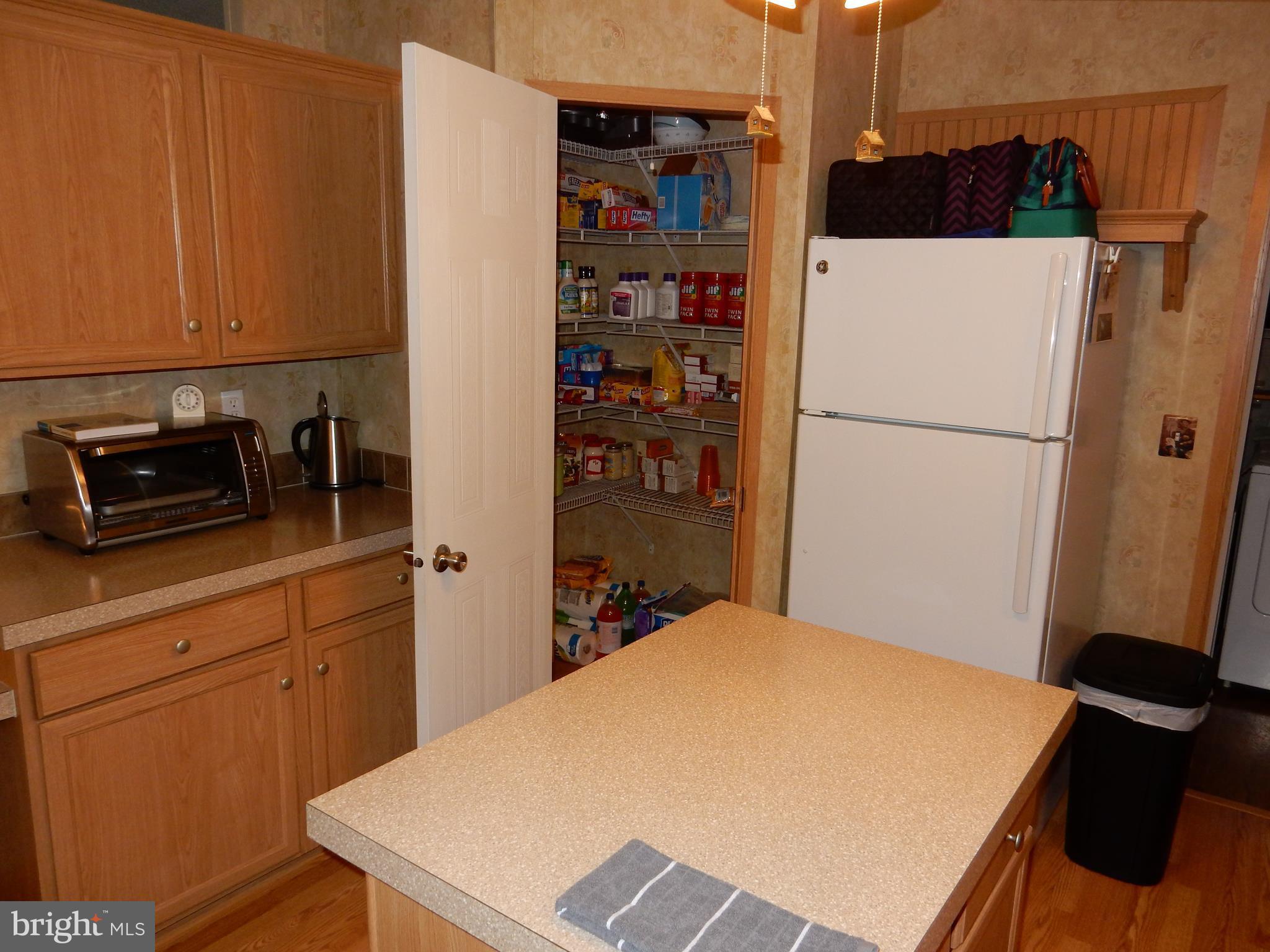 488 North Patuxent Road Odenton, MD 21113 - Photo 6 of 30 Pantry with Shelves