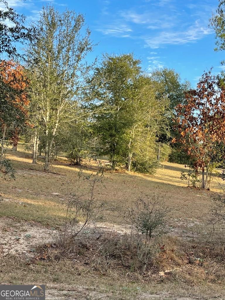 Lot120 Lot120 Garden Road Collins, GA 30421 - Photo 1 of 1 Main View