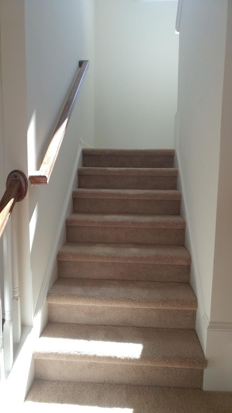 1518 Migration Point Summerville, SC 29483 - Photo 7 of 22 Stairs