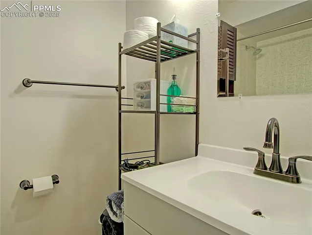 a bathroom with a sink and a shower