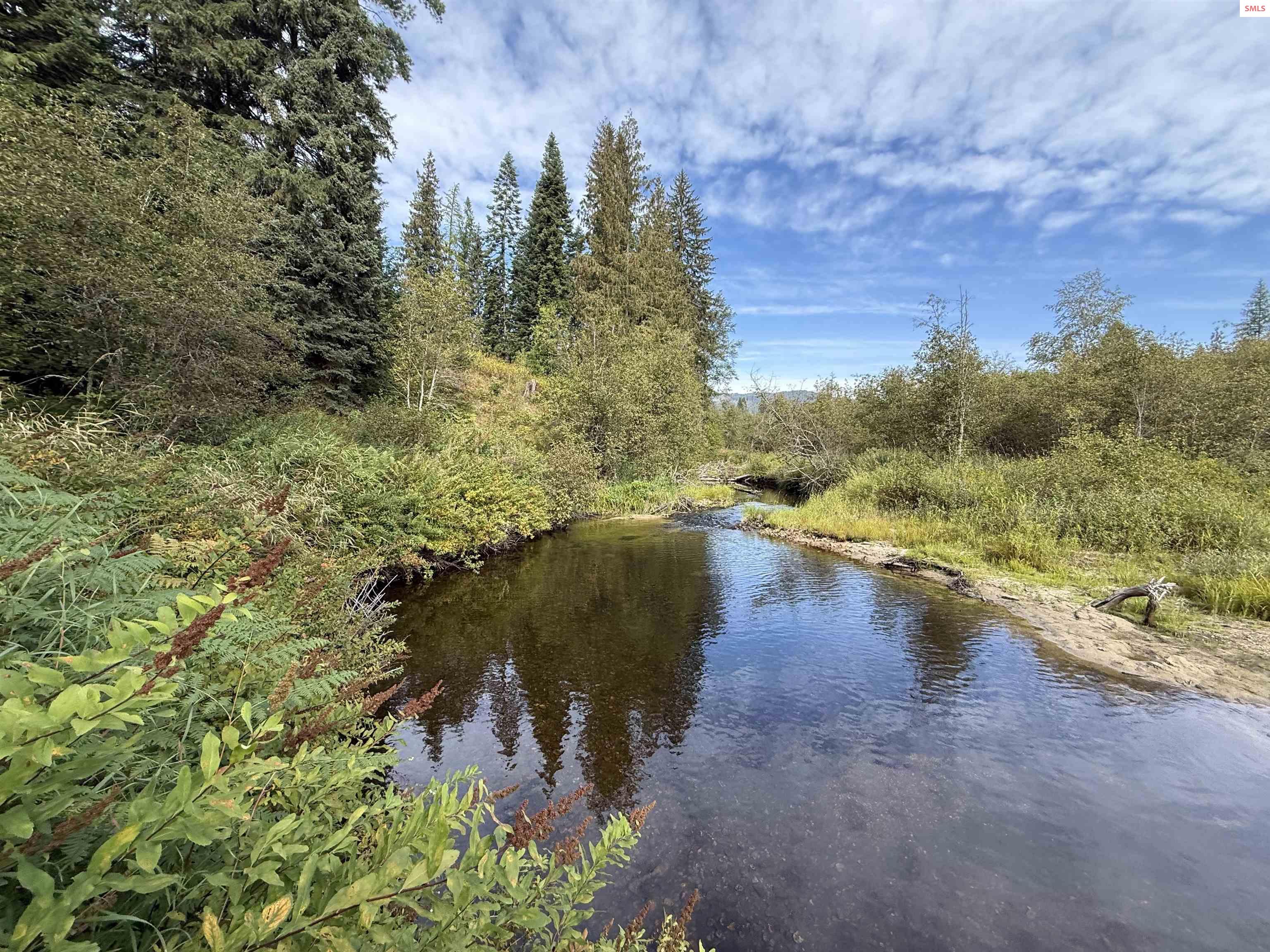 331 Fall Creek Road Naples, ID 83847 - Photo 1 of 4 Gallery Image 1