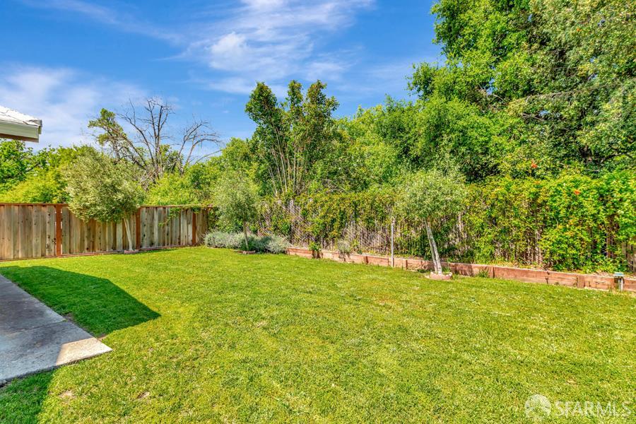 46728 Crawford Street, Unit 2 Fremont, CA 94539 - Photo 35 of 39 a view of a backyard with large trees