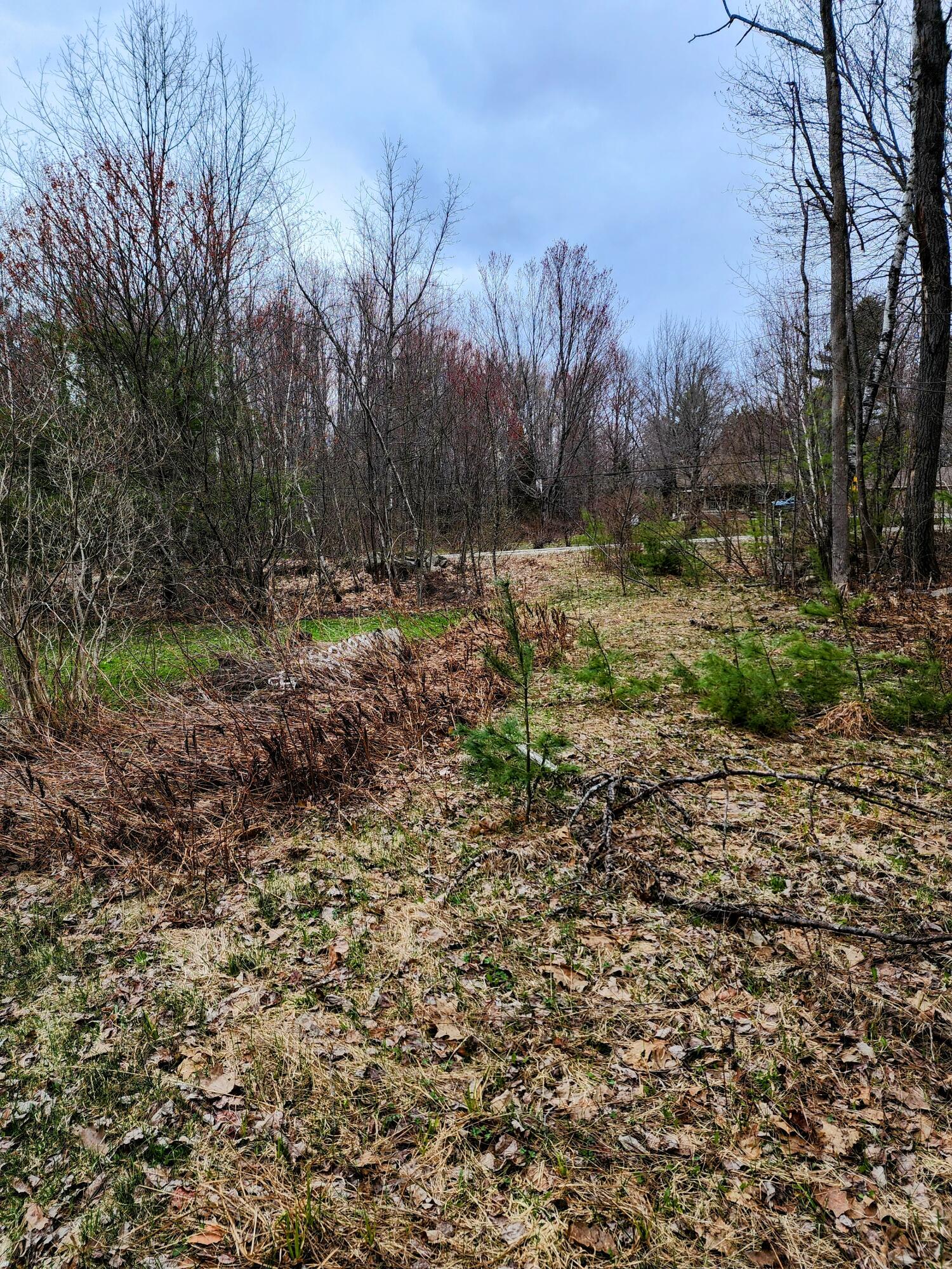 35 Borough Road Jay, ME 04239 - Photo 8 of 9 20230419_175506~2