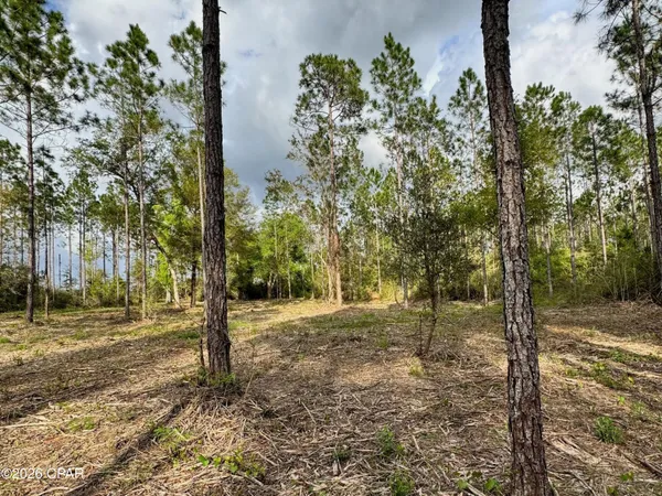 $149,000 | Lot 9 Pleasant Hill Road, Bonifay, FL 32425