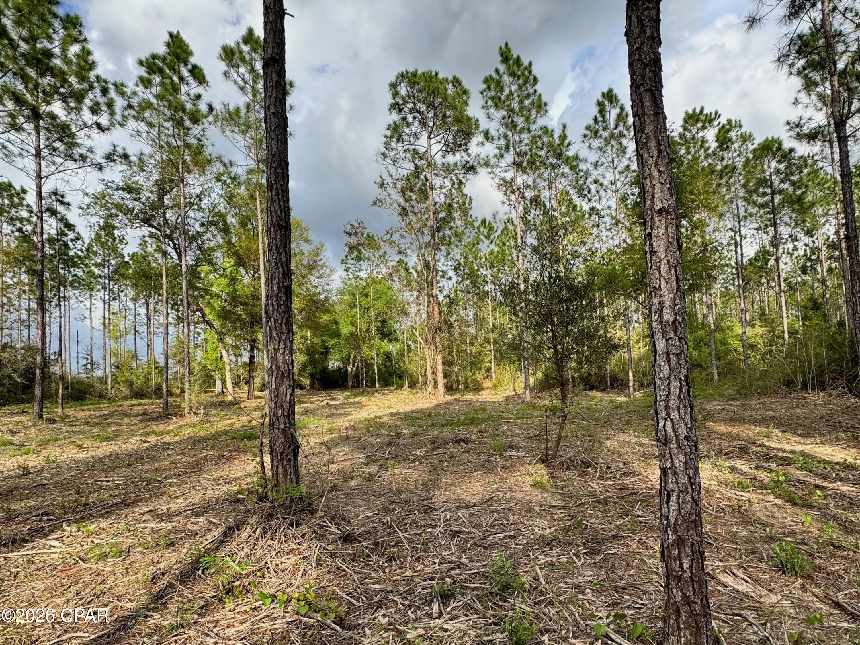 Lot 9 Pleasant Hill Road Bonifay, FL 32425 - Photo 3 of 10