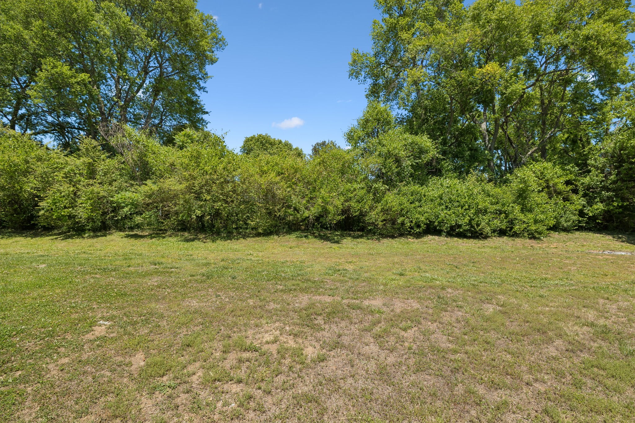 3024 Columnar Court Murfreesboro, TN 37129 - Photo 50 of 51